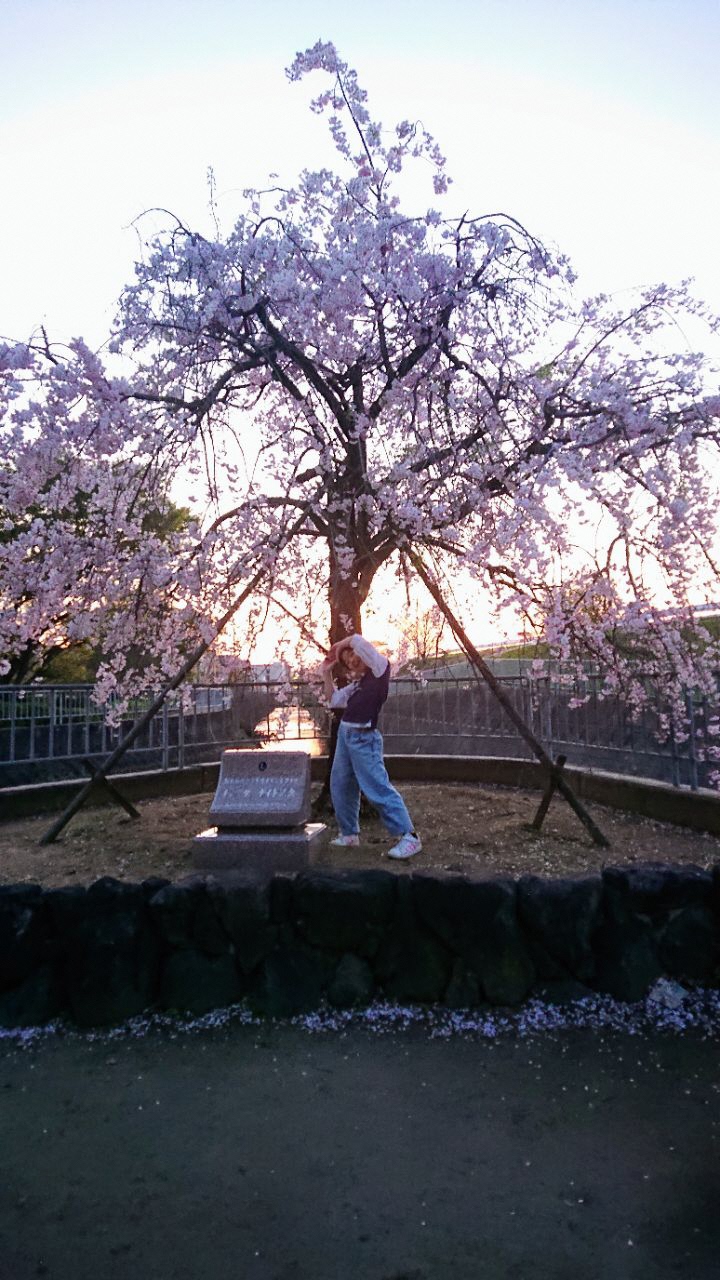 桜の下でポーズするお子さんの写真