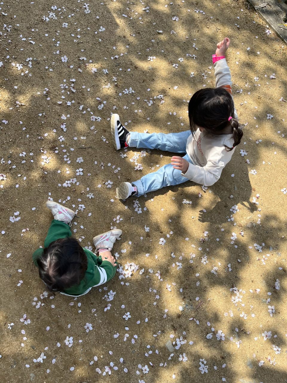 地面に散った桜と座っているお子さんたちの写真
