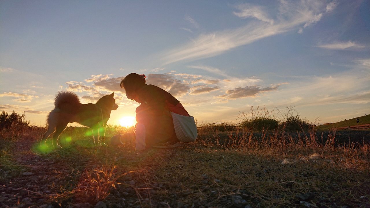 夕日が飼い主さんと犬が見つめあっている姿を照らしている写真