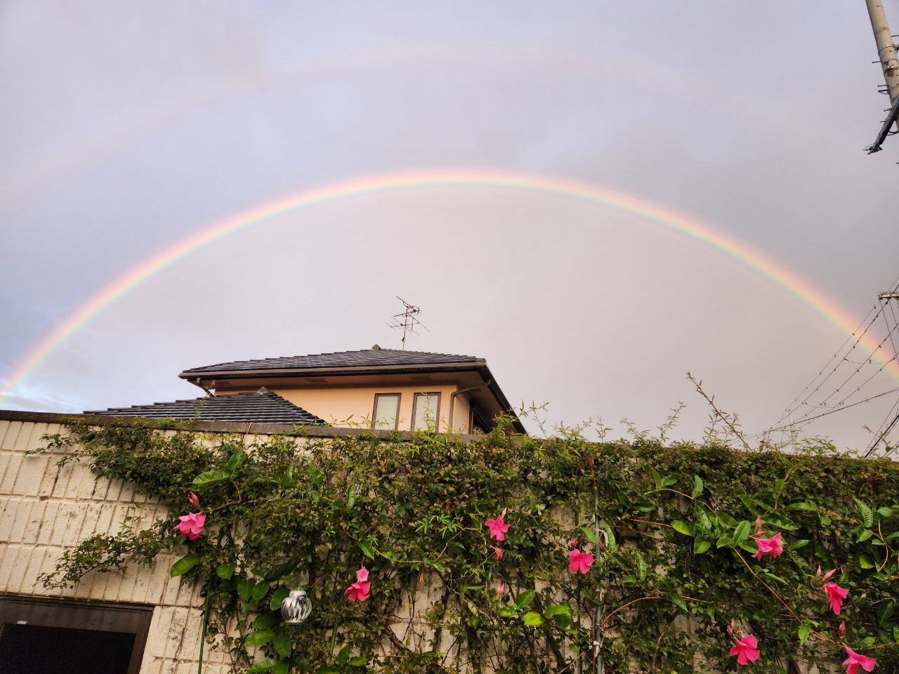 空に二重の虹がかかっている写真