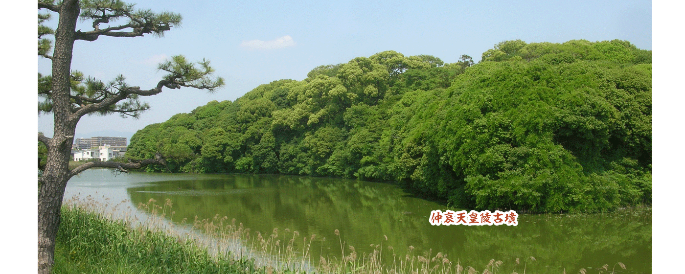 仲哀天皇陵古墳に緑の木が生い茂っている写真