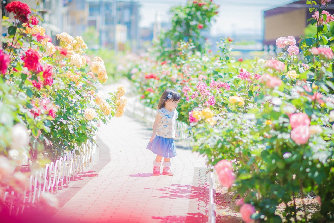 花園でお子さんが花を見ている写真