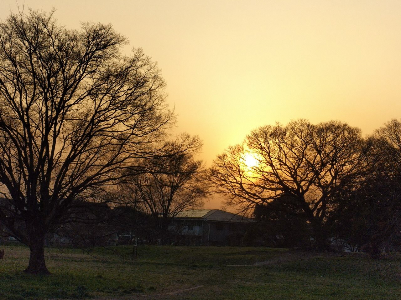 津堂城山古墳にて撮影された夕陽の写真