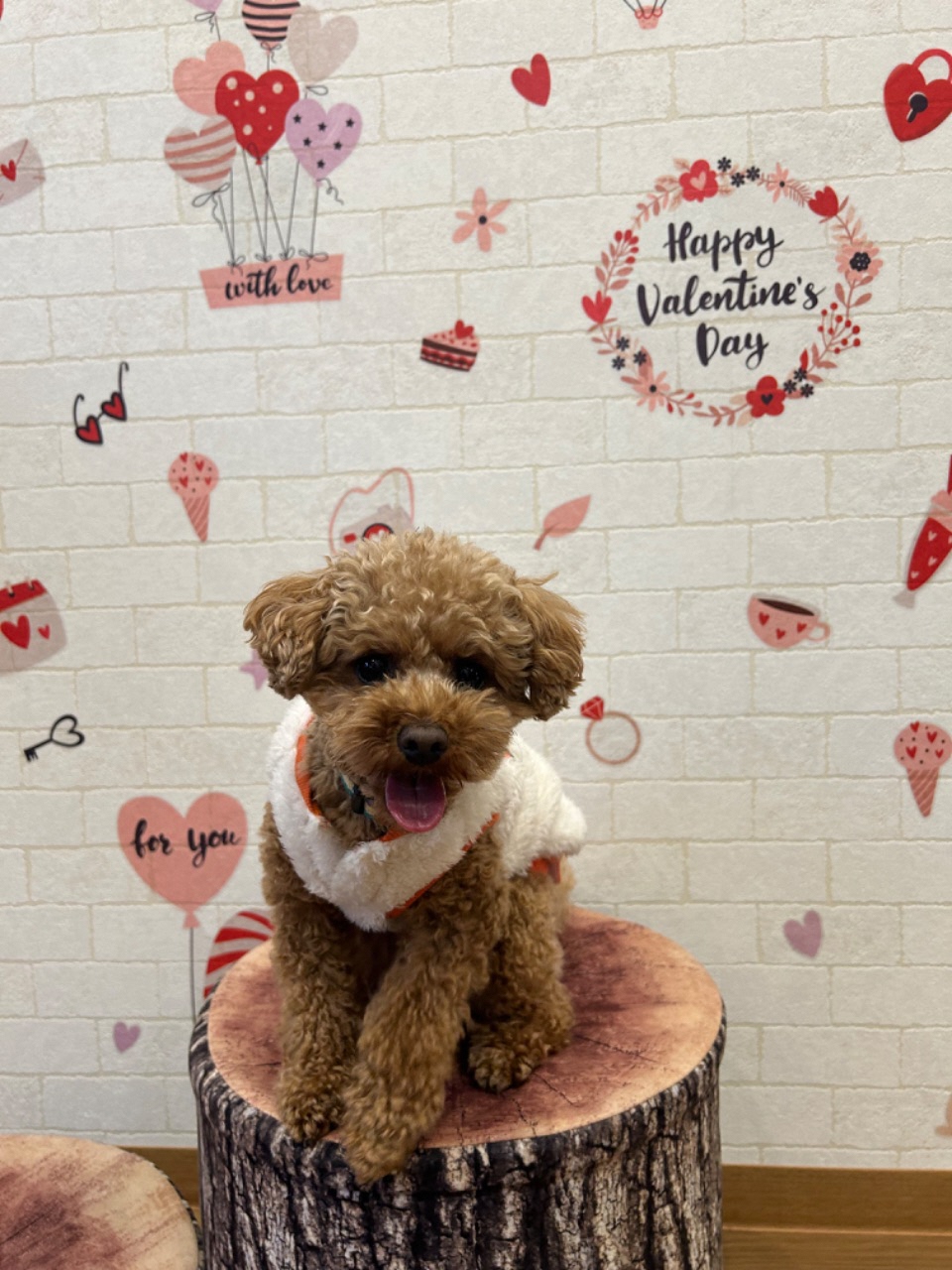 バレンタインの絵が描かれている壁の前で笑っている犬の写真