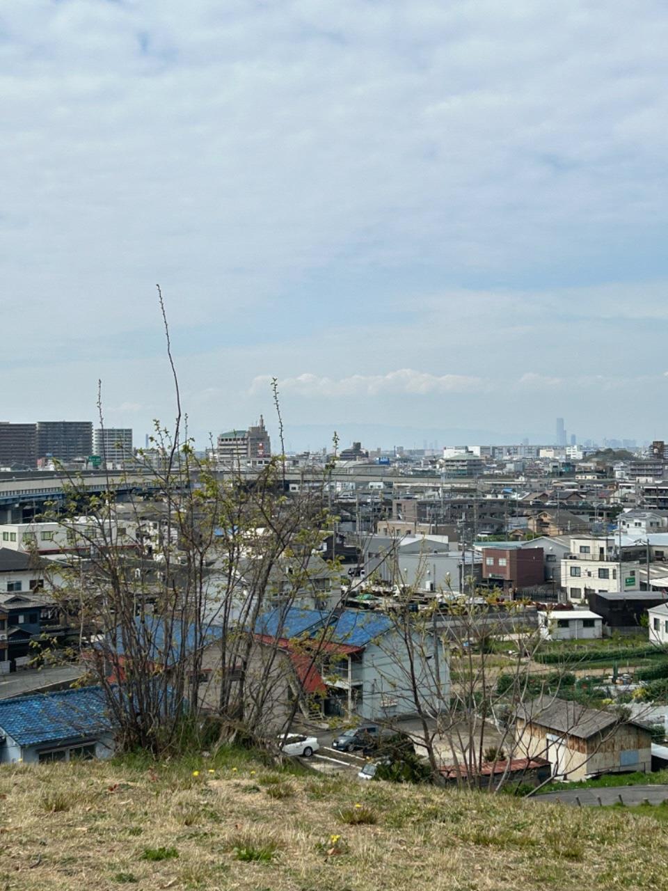 小高い丘から藤井寺市を撮影している写真
