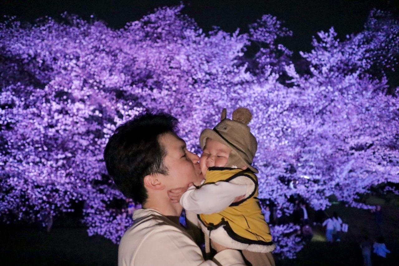 ライトアップされている古室山古墳の桜の前で親が子を抱いている写真