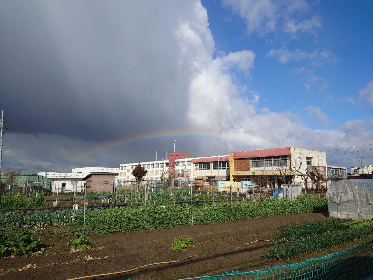 青空と曇り空に虹がかかっている写真