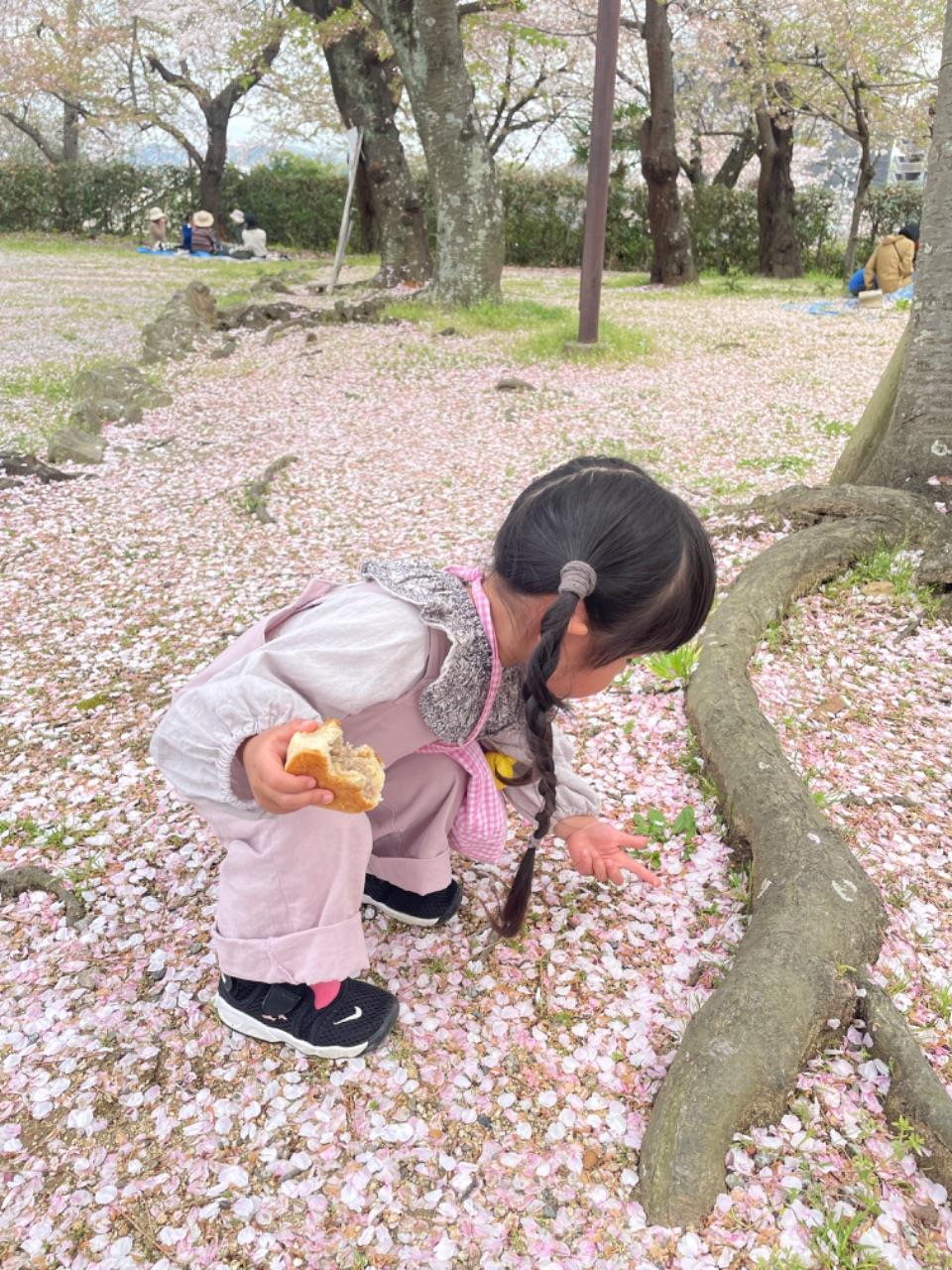 お子さんが桜の木の下で団子を持っている写真