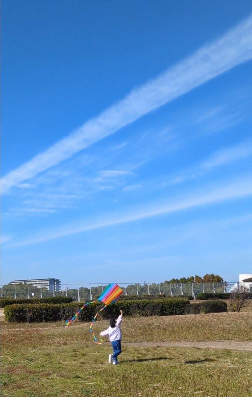 気持ちのいい晴れの日に凧揚げをする写真