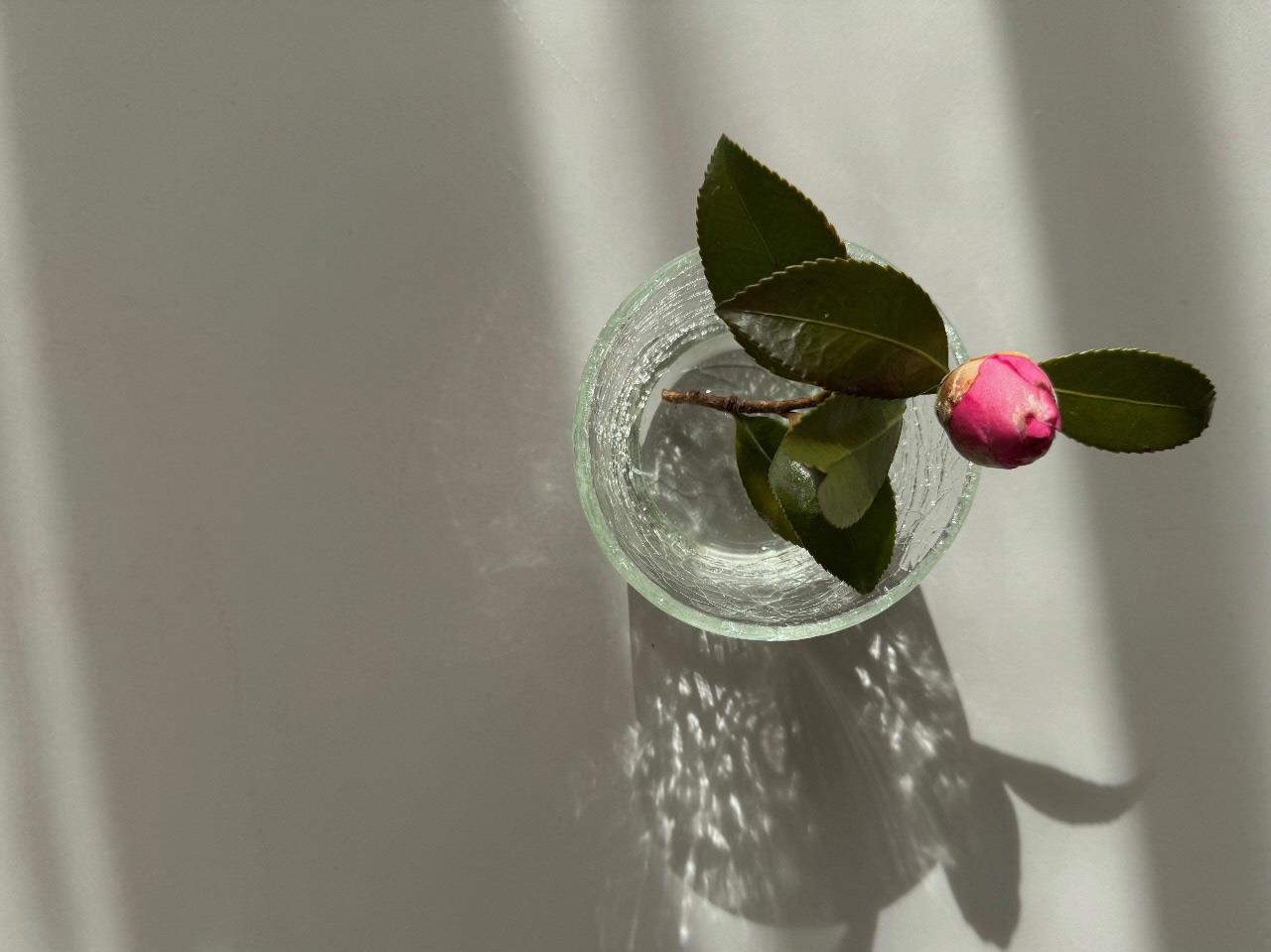 硝子細工に一凛の花