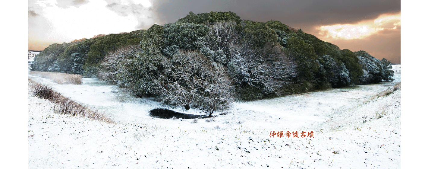 仲姫命陵古墳に雪が積もっている写真