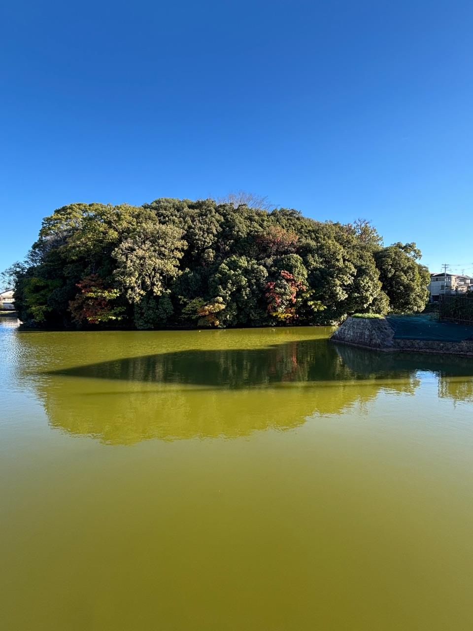 古墳と青空の写真
