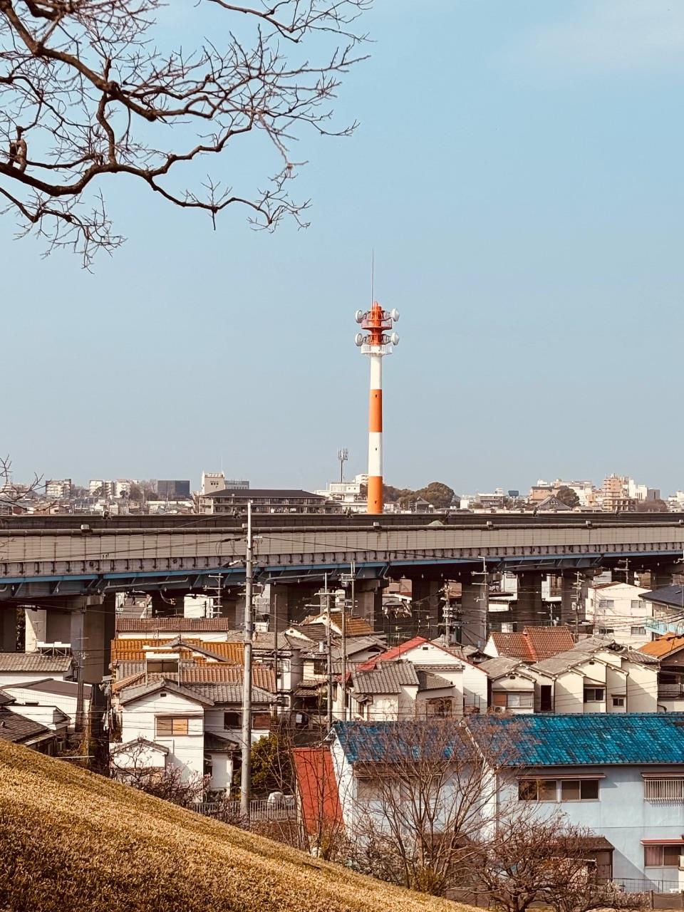 古室山古墳から見える景色