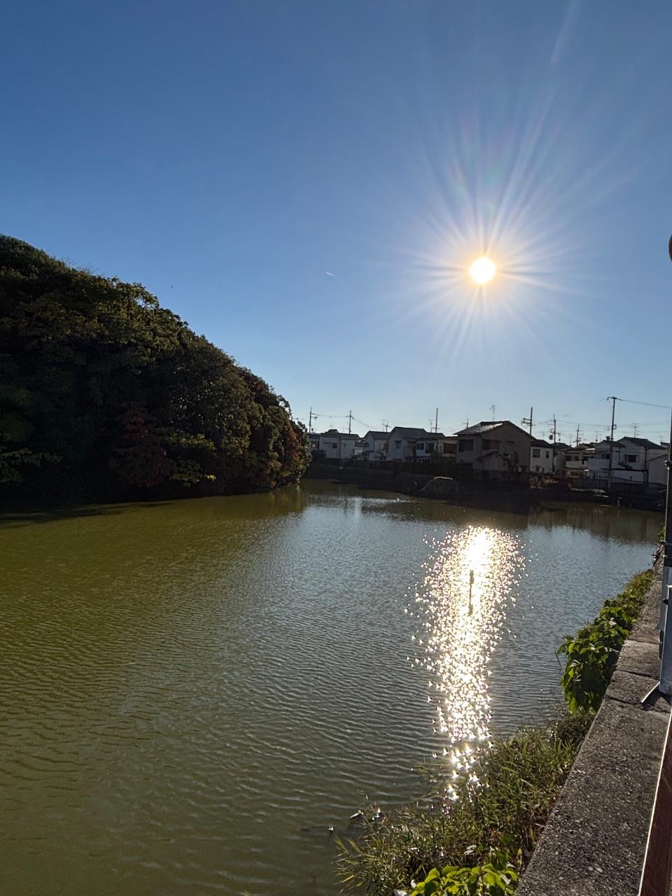 明るい陽射しに照らされた古墳のお濠