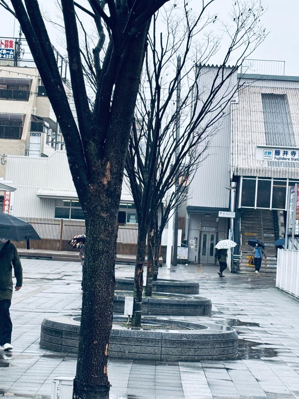 雨の日の藤井寺駅