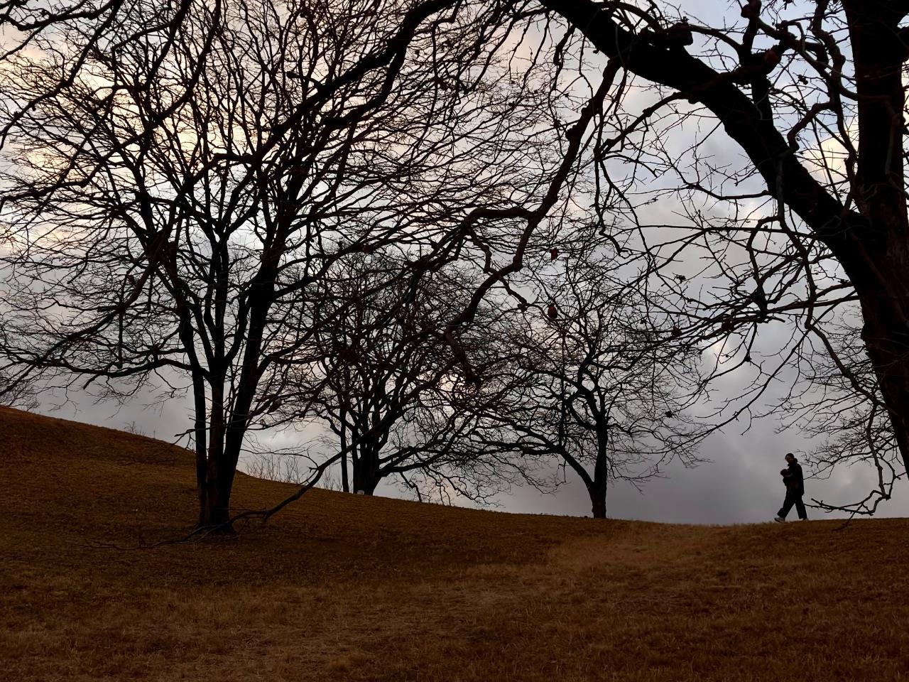 夕焼けの古室山古墳