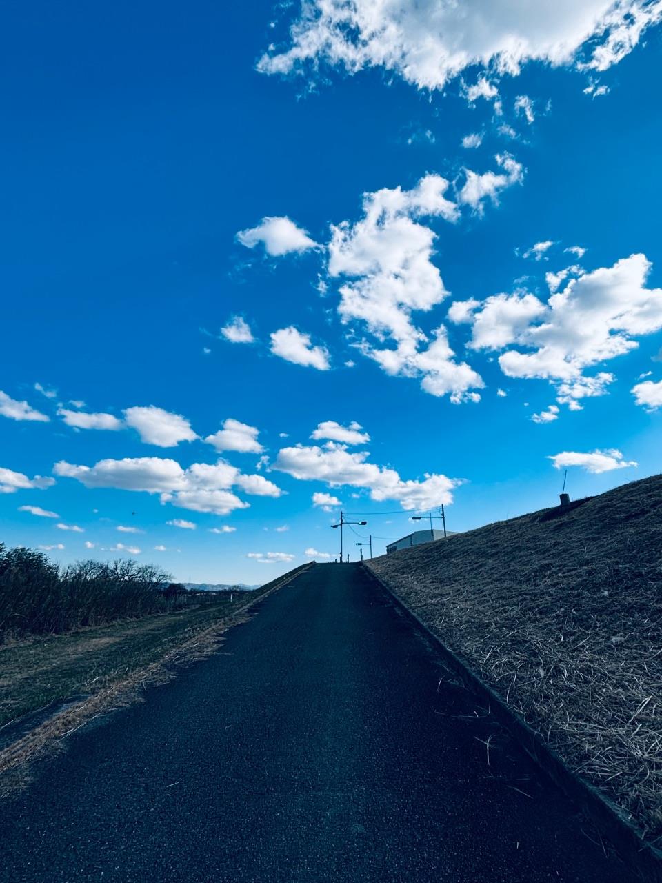 晴天の下の大和川