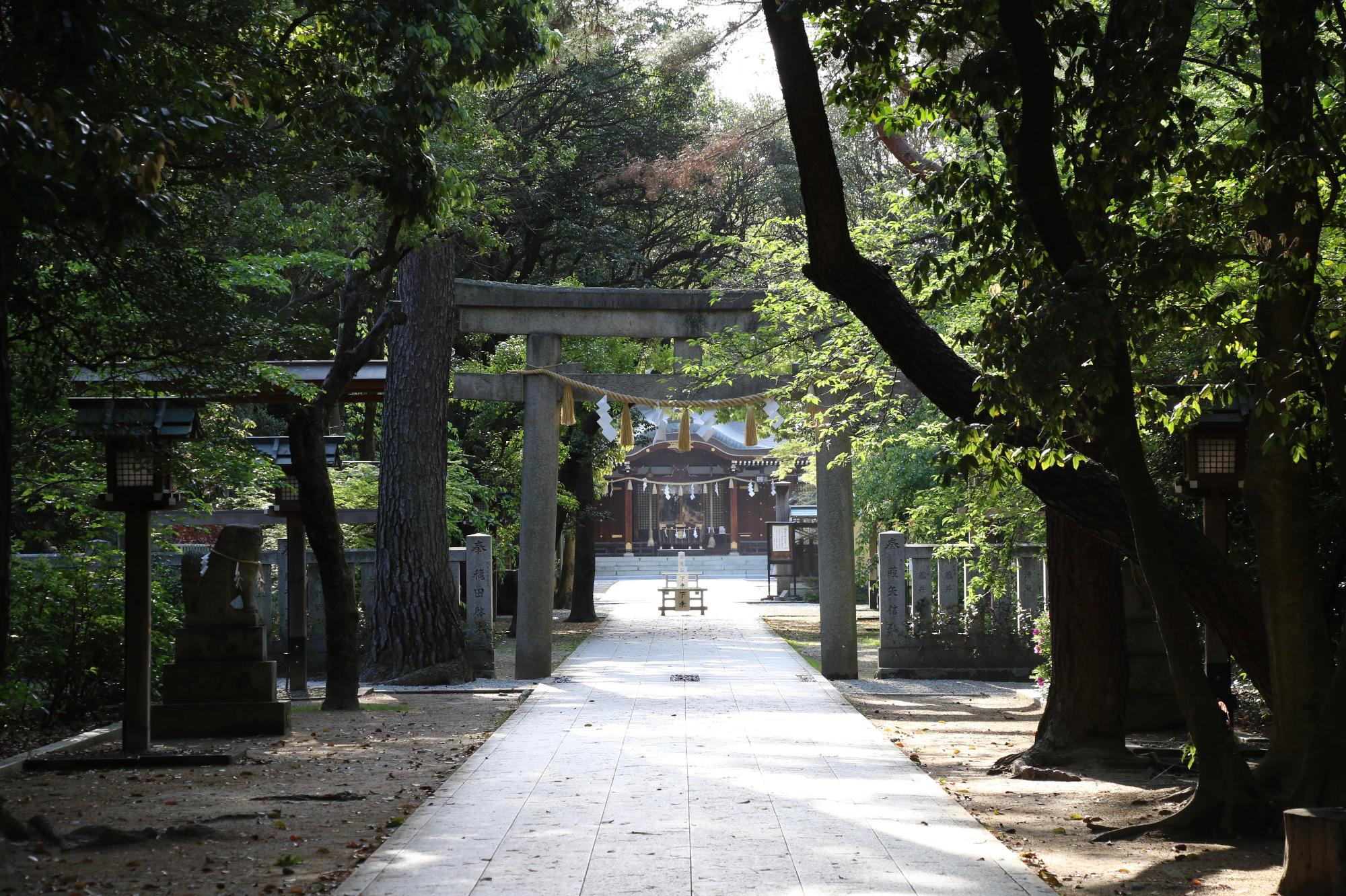 木漏れ日が綺麗な辛國神社