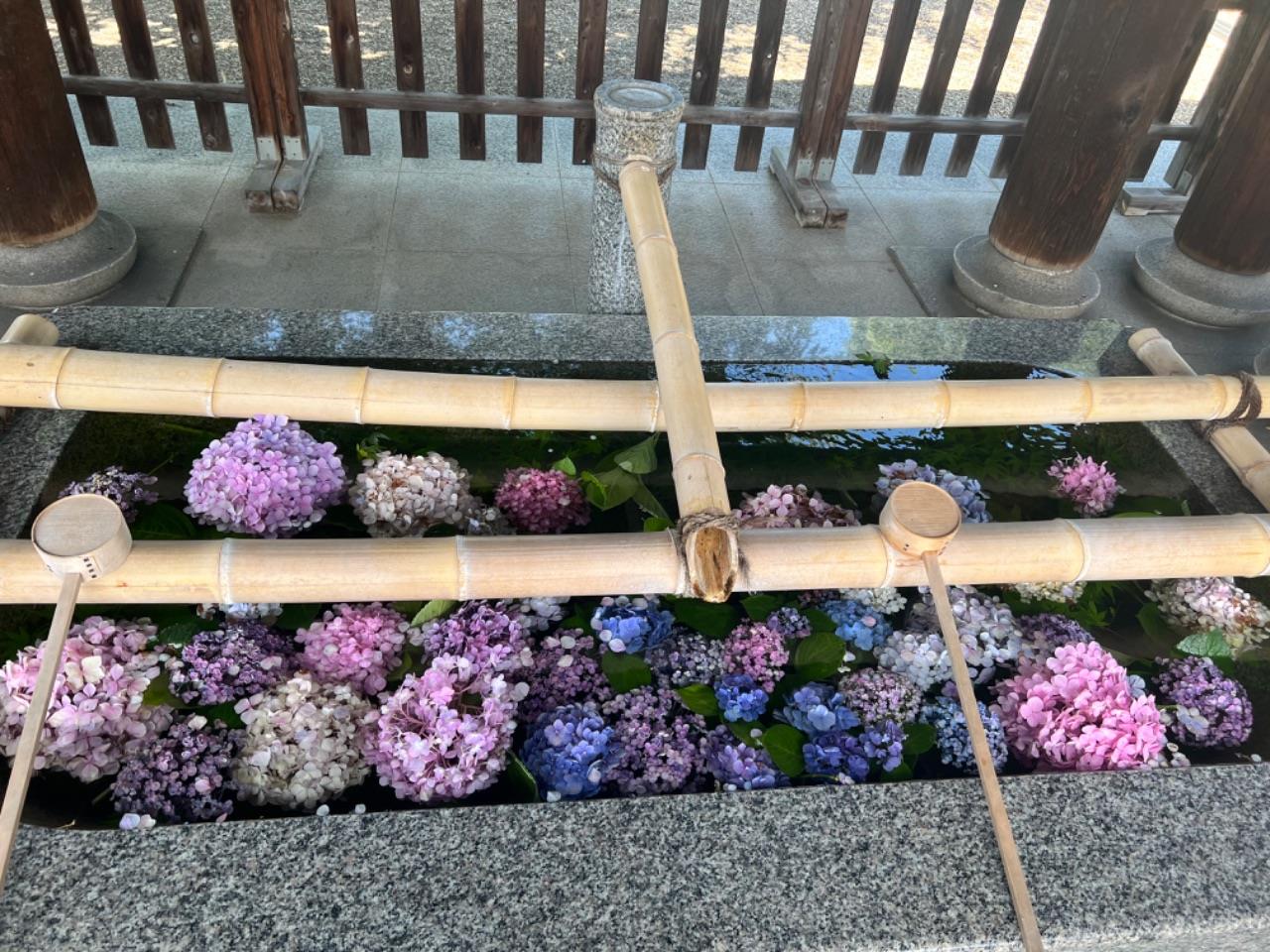 花手水にうっとり
