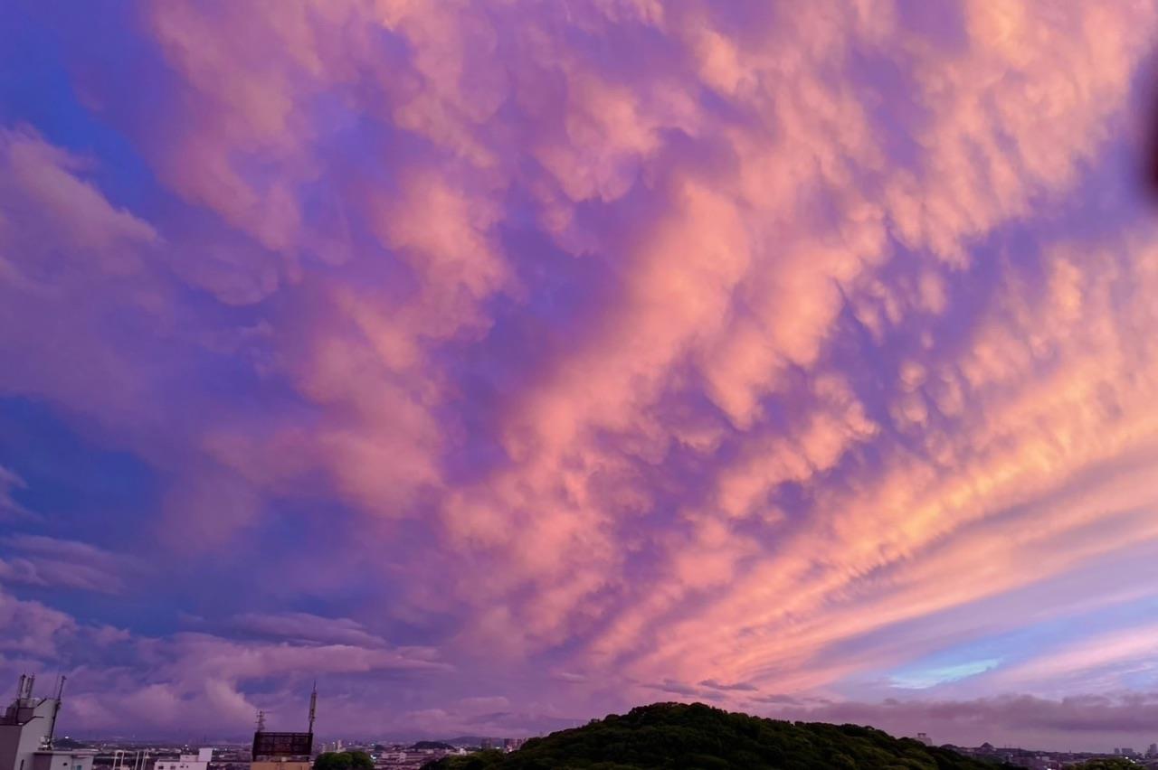 古墳の上の夕空