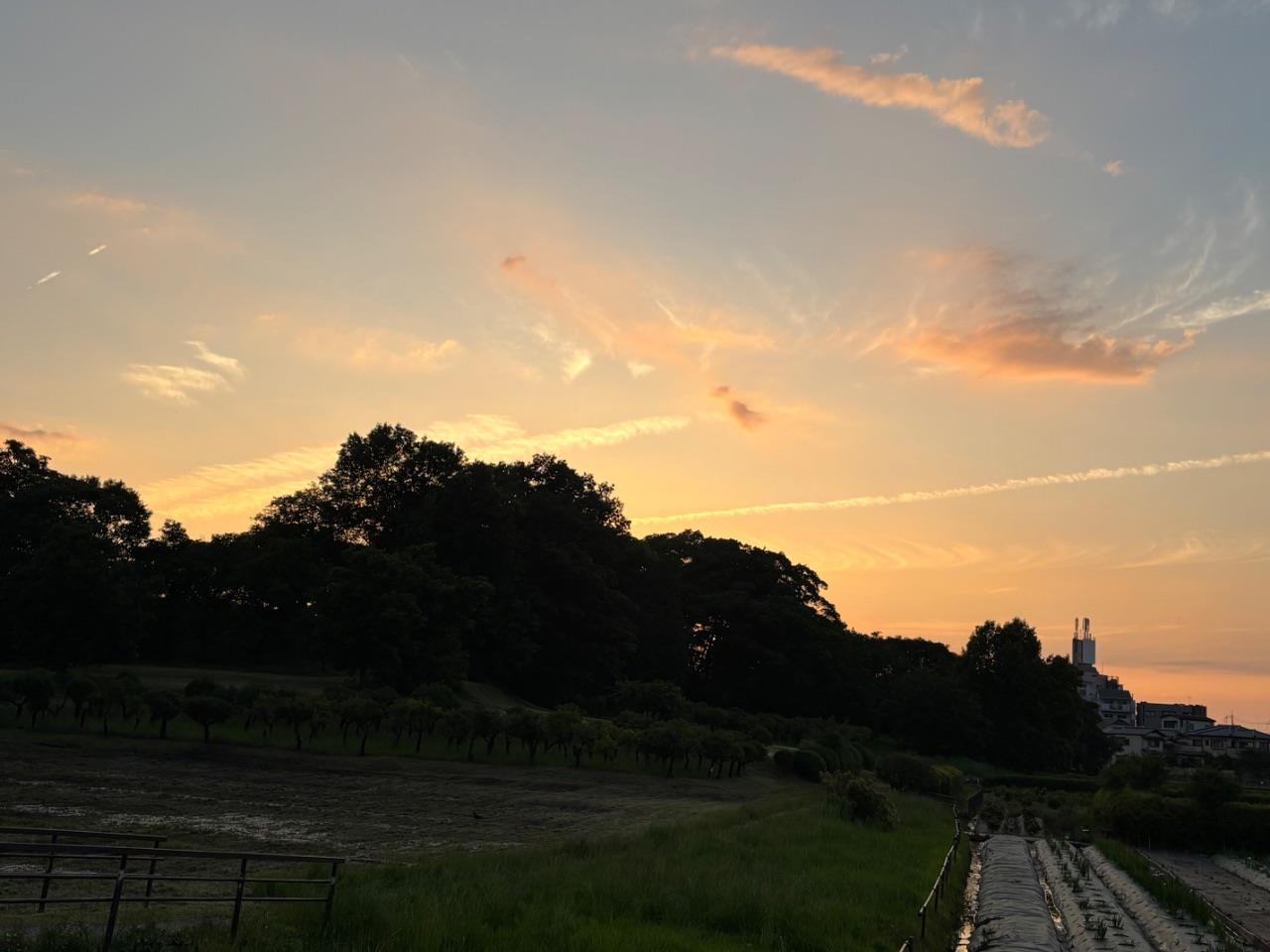 津堂城山古墳で撮りました