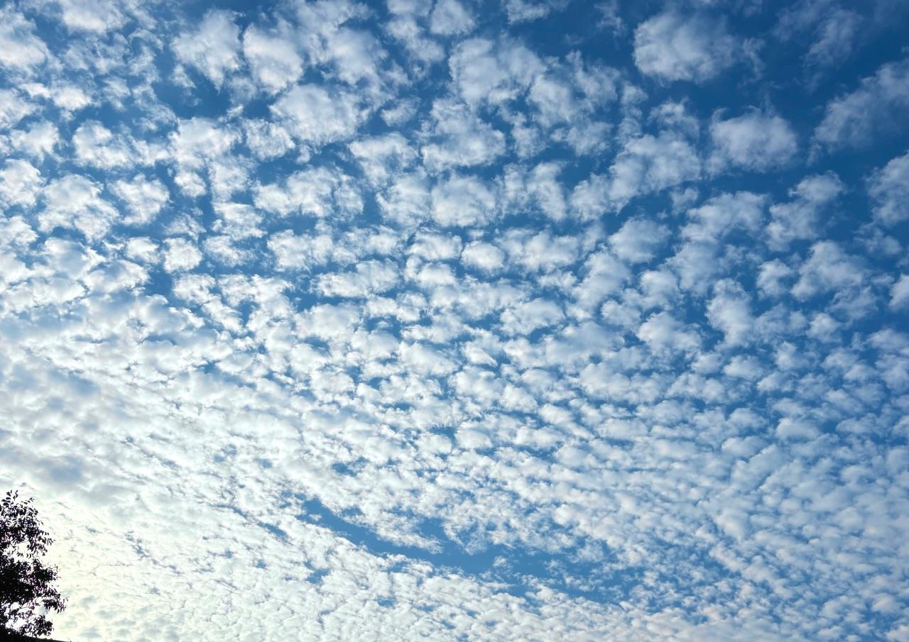 道明寺東小学校から見上げた空