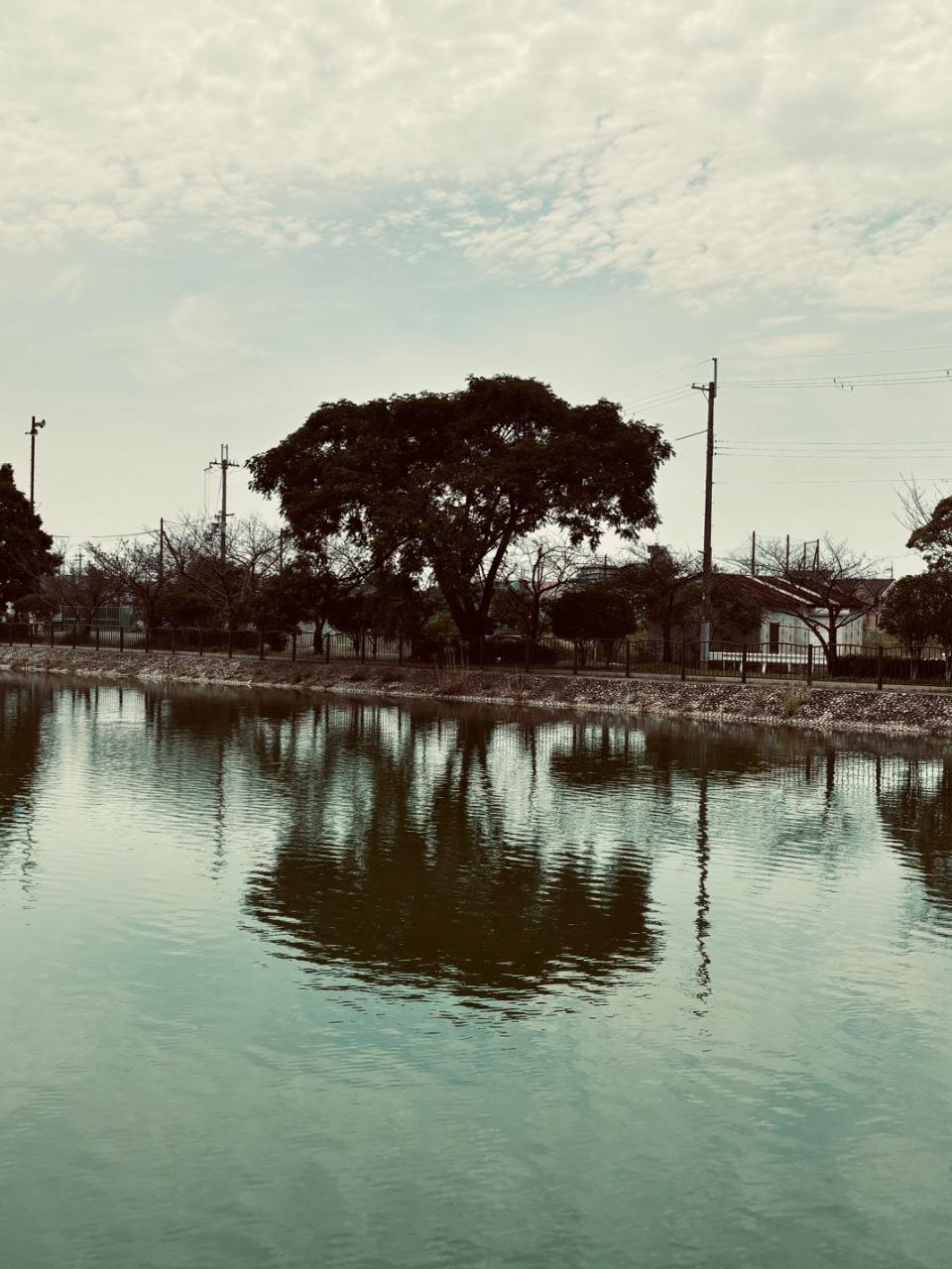 散歩中に撮りました。