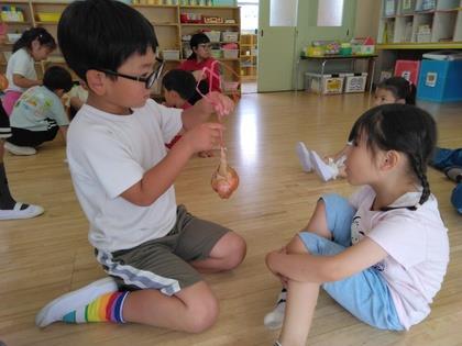 玉ねぎの皮むきを年少さんにお願いしています。