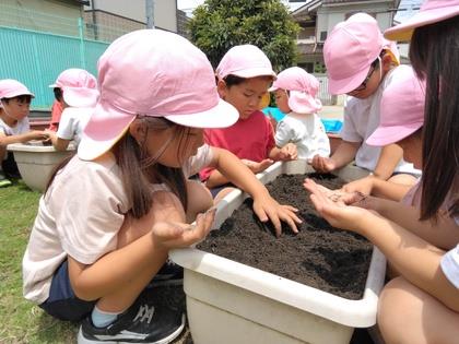 小さな種をそっと蒔いています。