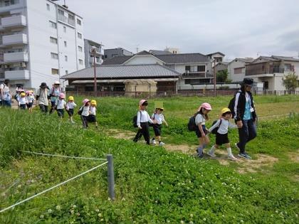 城山古墳までの道のりを元気に歩いています。