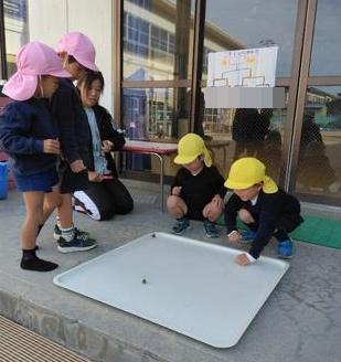 作ったどんぐりコマをまわして誰のどんぐりが長く回り続けるか対決しています。