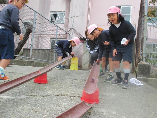 どんぐりやまつぼっくり、栗を転がして、どれがよく転がるか試しています。