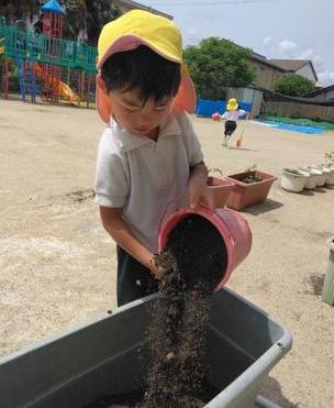 バケツでたくさんの土を運んでいます。