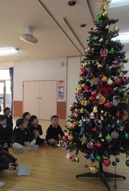 飾ったツリーを眺めています。