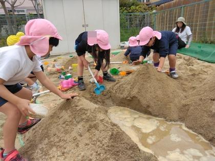 深く掘った穴に水を運んできて貯めています。