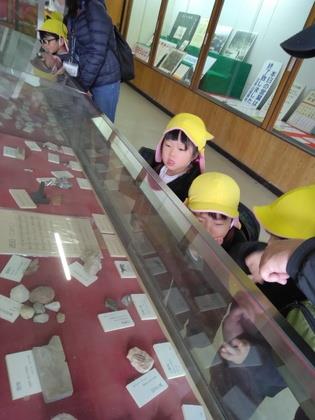 化石を見てます。