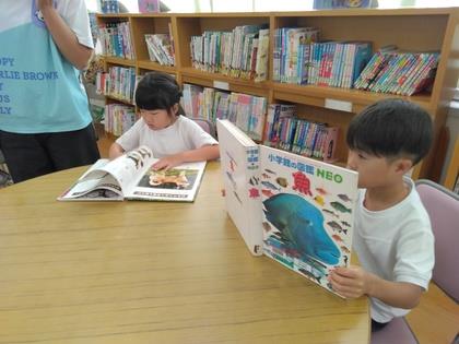 好きな本を読んでいます。