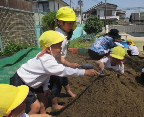 砂場でスコップを使って友達と一緒に大きな山をつくっています。