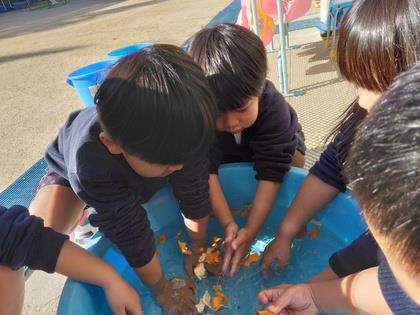 みかん風呂に手を浸しています。