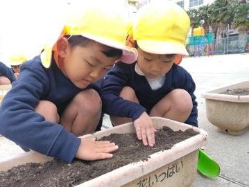 やさしく土をかけています。