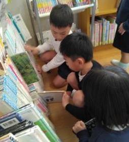 図書室の本を選んでいます。