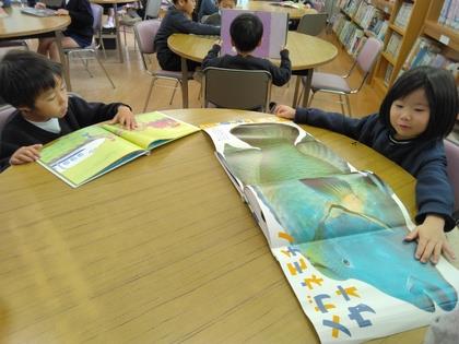 実物大の海の生き物が載っている本を見ています。