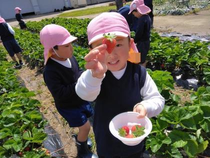 大きな一粒を見つけて嬉しそうです。