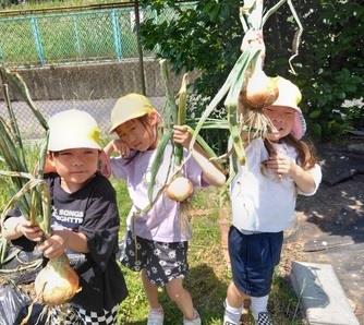 タマネギと写真を撮る
