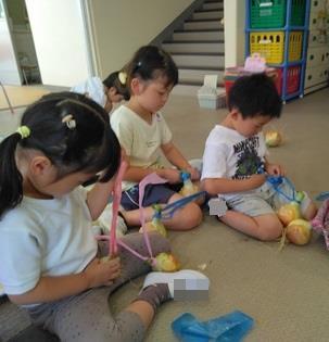 タマネギをひもでくくる