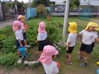 つまぐろひょうもん