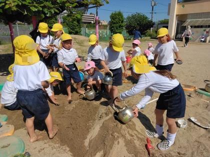 年長組が穴を掘っている