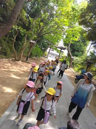 神社を散歩している