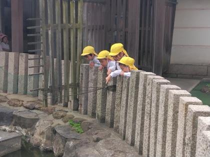 池の中をのぞいている