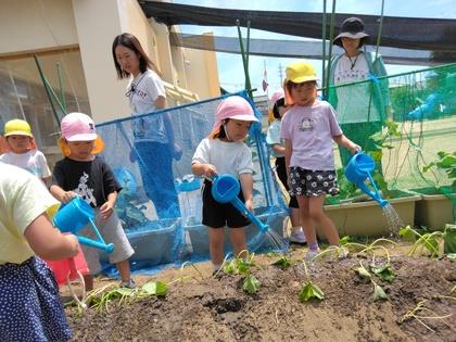 水やりをしているところ